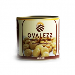 [Y100375] OVALEZZ MANTAR BÜTÜN 3/1 